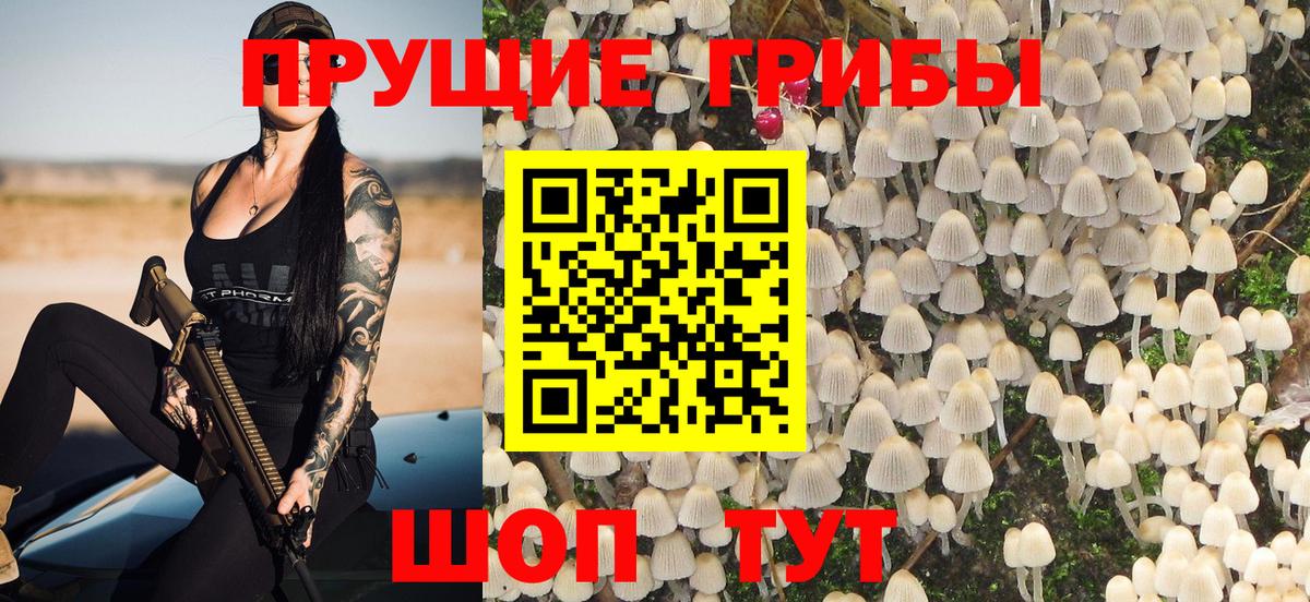 Канск  Галлюциногенные грибы прущие грибы  Вход с VPN 