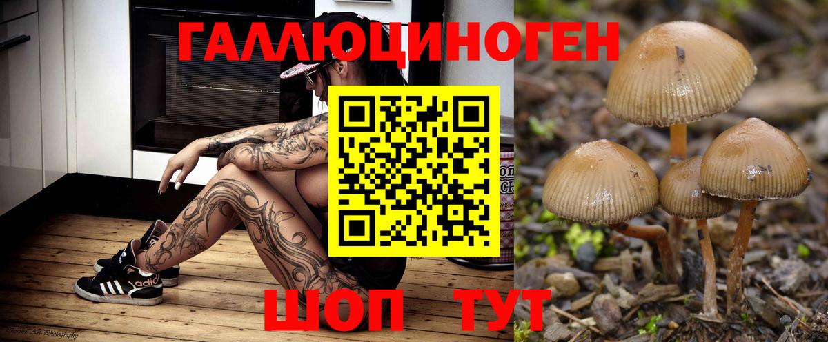 Галлюциногенные грибы мицелий Канск