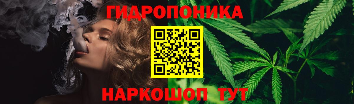 Конопля LSD WEED  Шишки марихуана Amnesia  Вход с VPN  Шишки марихуана ГИДРОПОН  Канск 